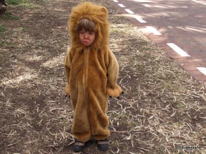 רוצה להיות אריה (צילום: ציפי מנשה)