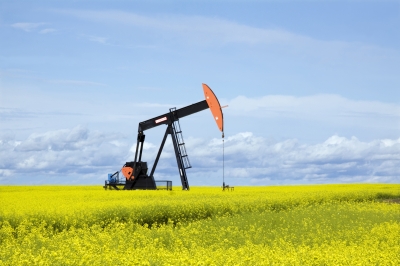 מחירי הנפט ממשיכים לצנוח – בקרוב גם הדלק
