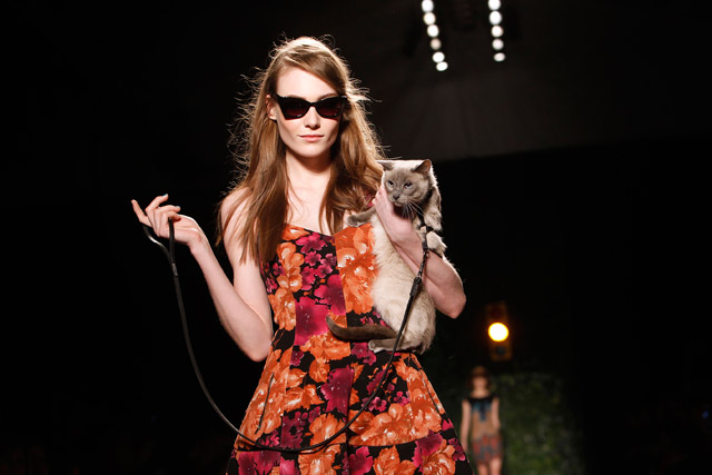 על המסלול: תצוגת האופנה של טרייסי ריס בשבוע האופנה בניו יורק, 10.2.2013. צילום: Jason DeCrow/Invision for Purina ONE/AP Images