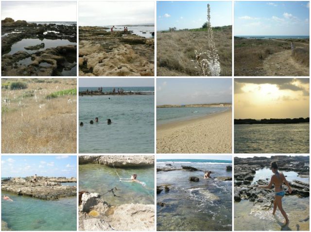 חוף נחשולים (צילומים: גליה פלד)