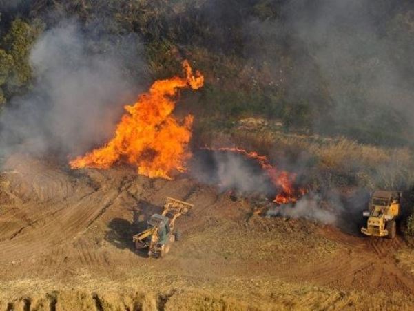 עשרות אלפי דונמים חורש טבעי נשרפו ברחבי הדרום