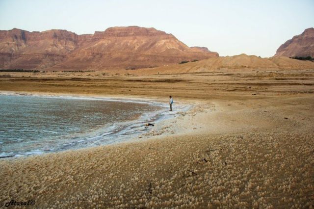 ים המלח (צילמה: עטרה כהן קושקה)