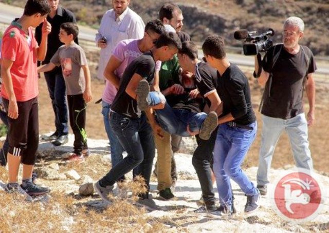 טענה: צה"ל עצר פלסטיני שסילק אוהל מתנחלים מאדמתו