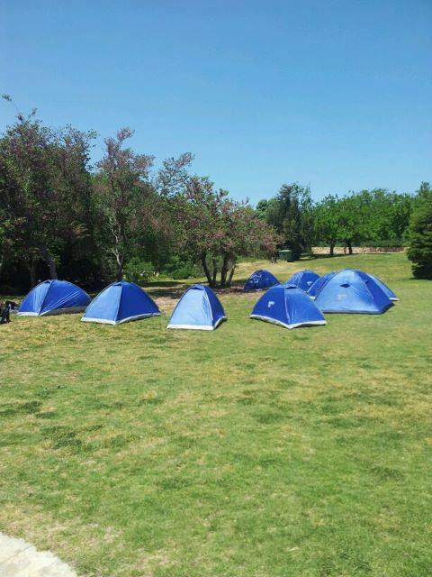 אוהלי המחאה מוקמים מול הכנסת