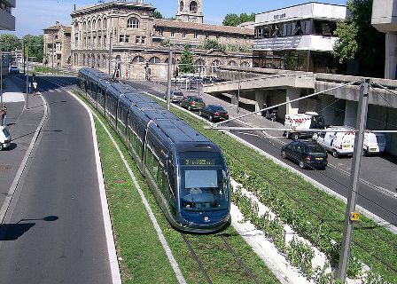 כרמים לאורך הרכבת של בורדו (מקור: ויקיפדיה)