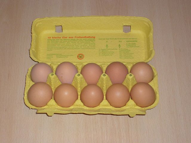 תבנית ביצים