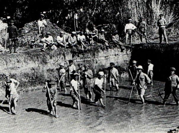 עבודות ניקוז בביצות כבארה בשנת 1925
