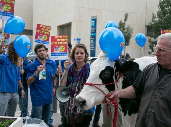 מפגינים נגד מכירת תנובה לסינים: העם דורש חלב ישראלי