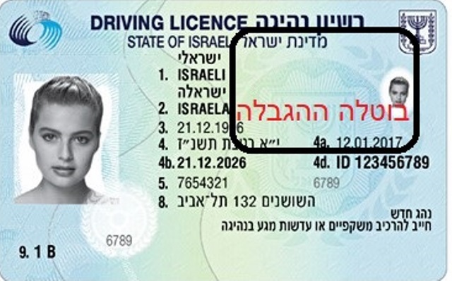 RISHUY_driving_licence-1