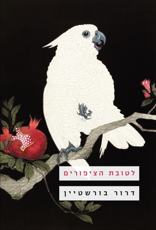 להתבונן בפלא: על הספר "לטובת הציפורים" של דרור בורשטיין
