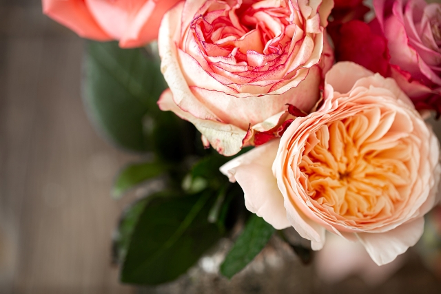 beautiful-fresh-roses-different-colors-close-up-floral-background
